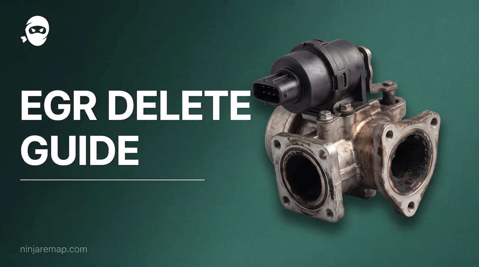 EGR delete/ pros, cons and methods of EGR removal