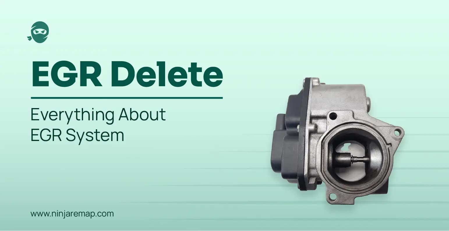 EGR delete/ pros, cons and methods of EGR removal