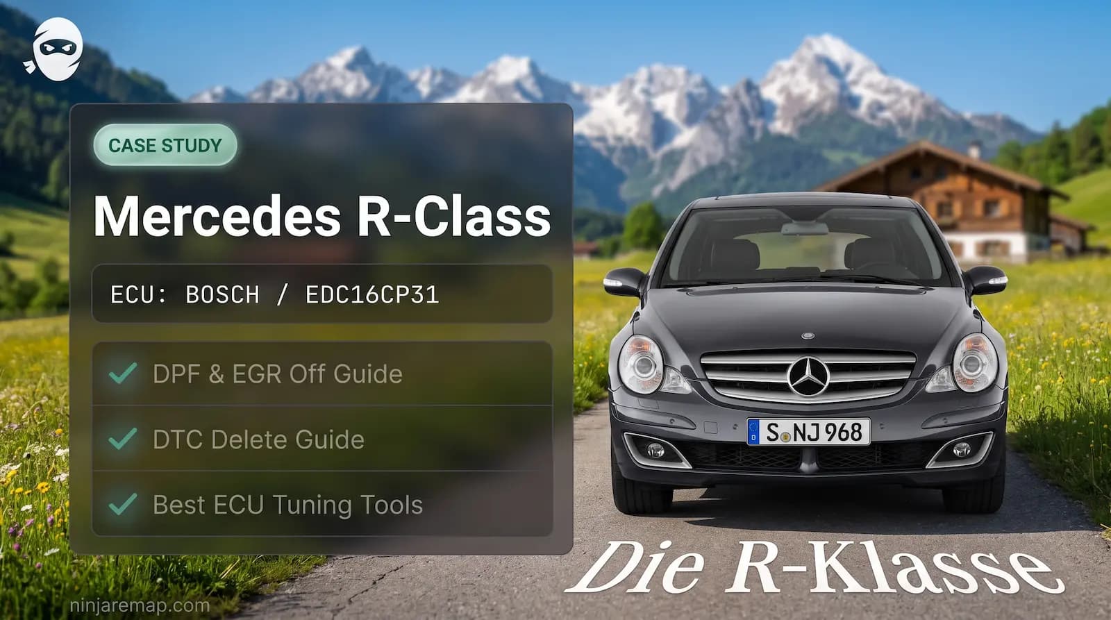 Mercedes Benz R-Class W251 EGR, DPF, DTC off
