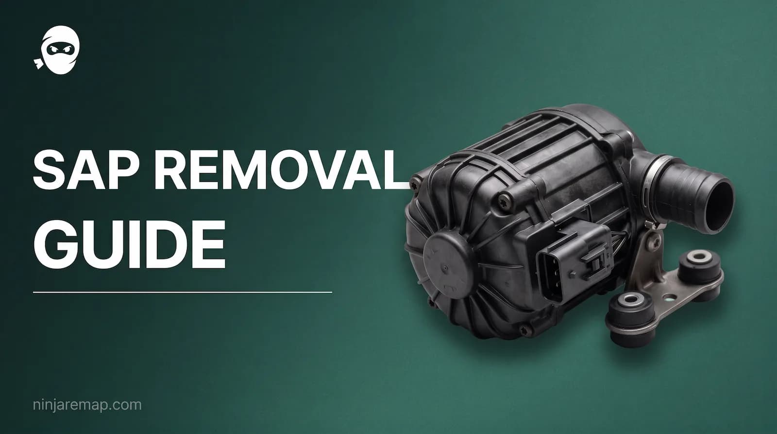 What is SAP Removal? Everything about Secondary Air Injection system