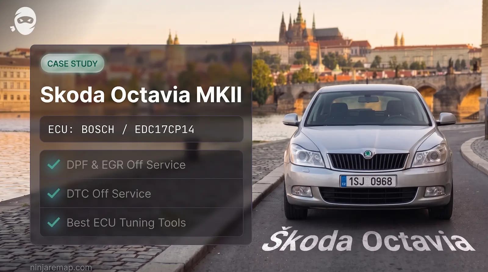Online DPF, EGR and DTC off Service for Skoda Octavia