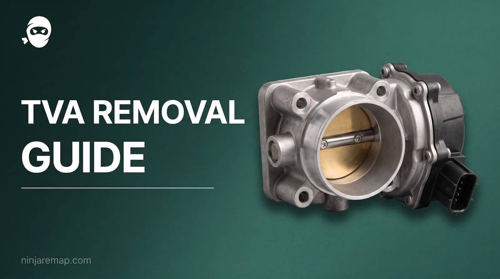 What is TVA Removal? TVA Removal software