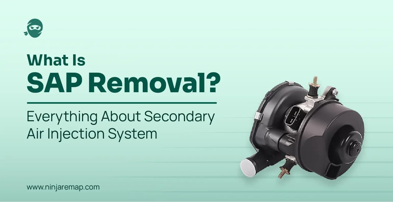What is SAP Removal? Everything about Secondary Air Injection system