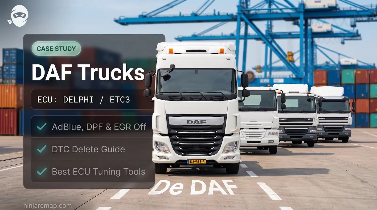 AdBlue, DPF, EGR and DTC off Service for DAF Trucks